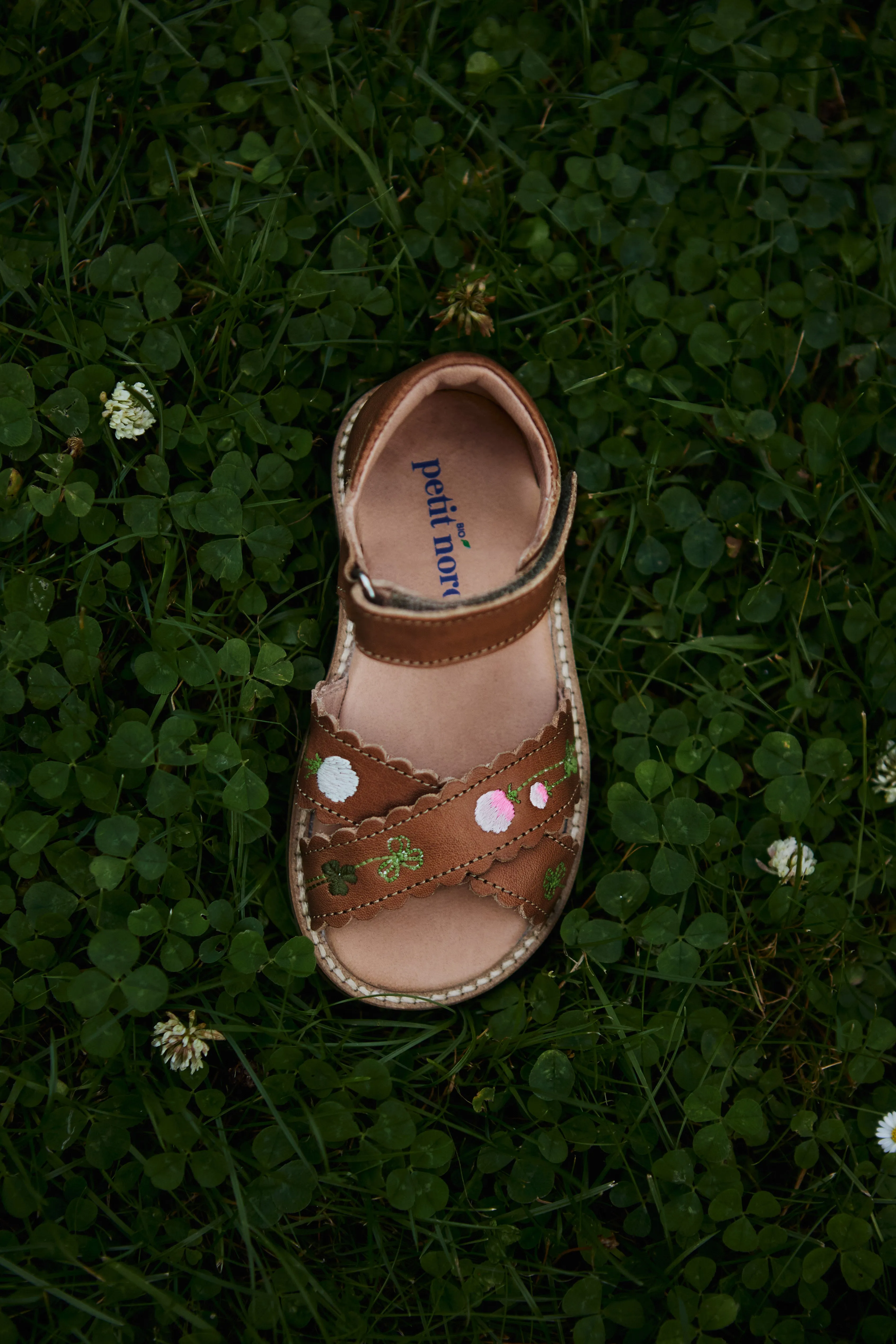 Blooming Clover Scallop Crossover Sandal - Cognac